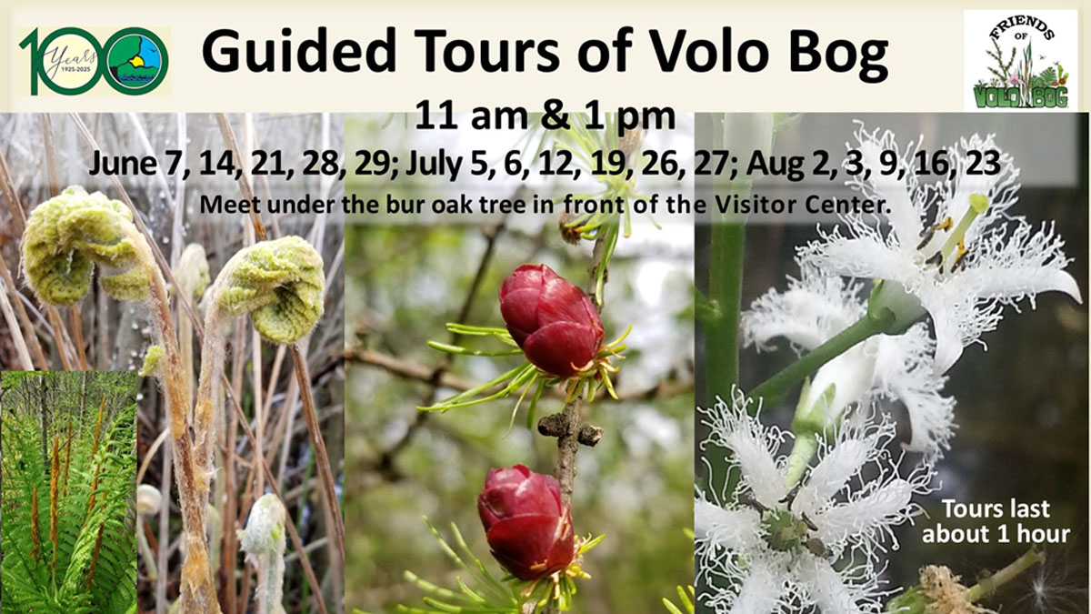 Guided Tours of Volo Bog